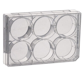 CCPP-006-100.jpg