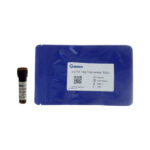 GDYE-001-500.jpg