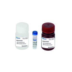 Reageerkit met gen reportero luciferase