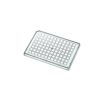 MICP-CAP-010.jpg