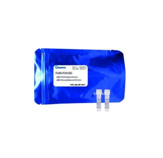 QPCR-GHR-001.jpg