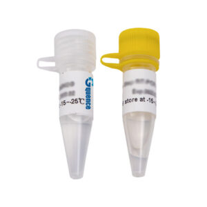 x-VITA Mastermix voor PCR proofreading