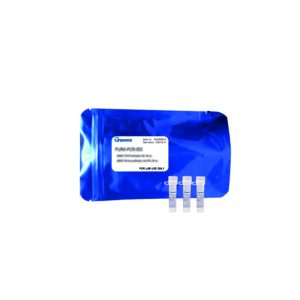Taq polimerase Hot Start x-VITA