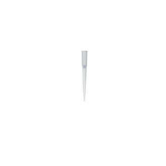 TICF-100-096-1.jpg
