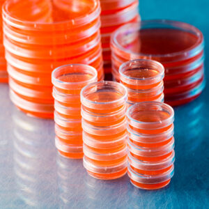 Microbiologie en pathologie